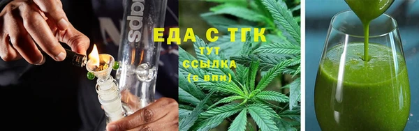 индика Алзамай