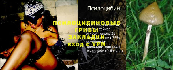 индика Алзамай
