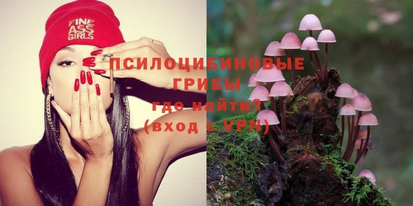 индика Алзамай