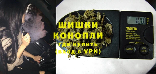 индика Алзамай
