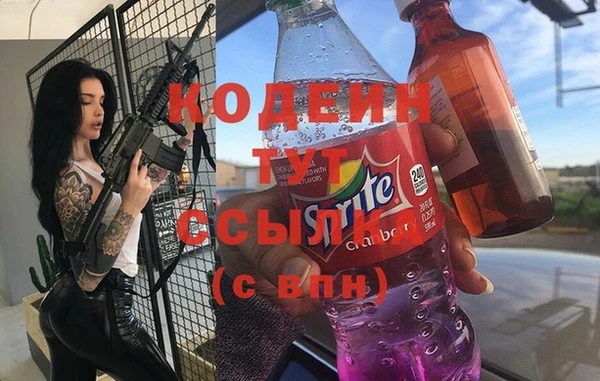 индика Алзамай