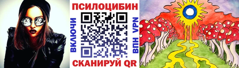 Галлюциногенные грибы мицелий  Новоузенск 